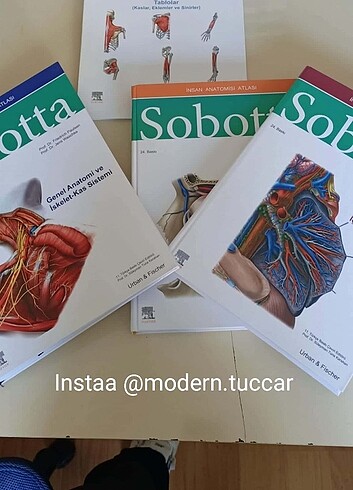 Sobotta İnsan Anatomisi Atlası 