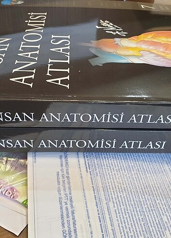 Netter İnsan Anatomisi Atlası 