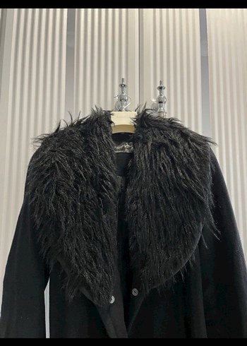 Siyah, uzun tüylü yakalı kaban - Görsel 4