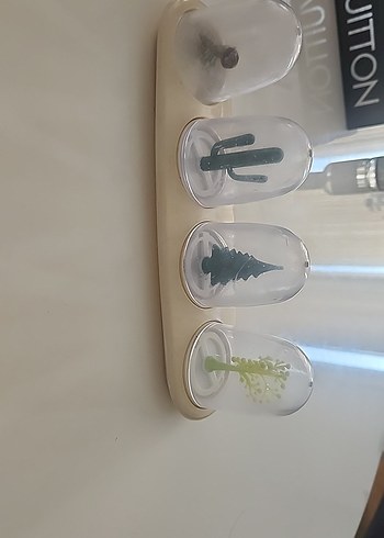 Şeffaf Kapaklı baharat seti