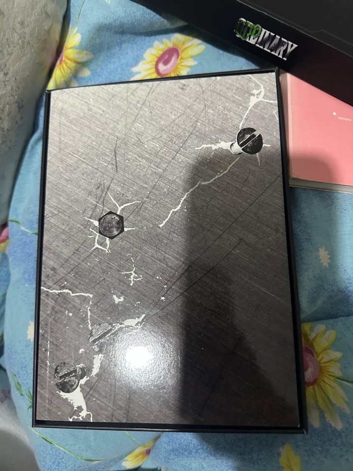 skz ordinary album - Görsel 3