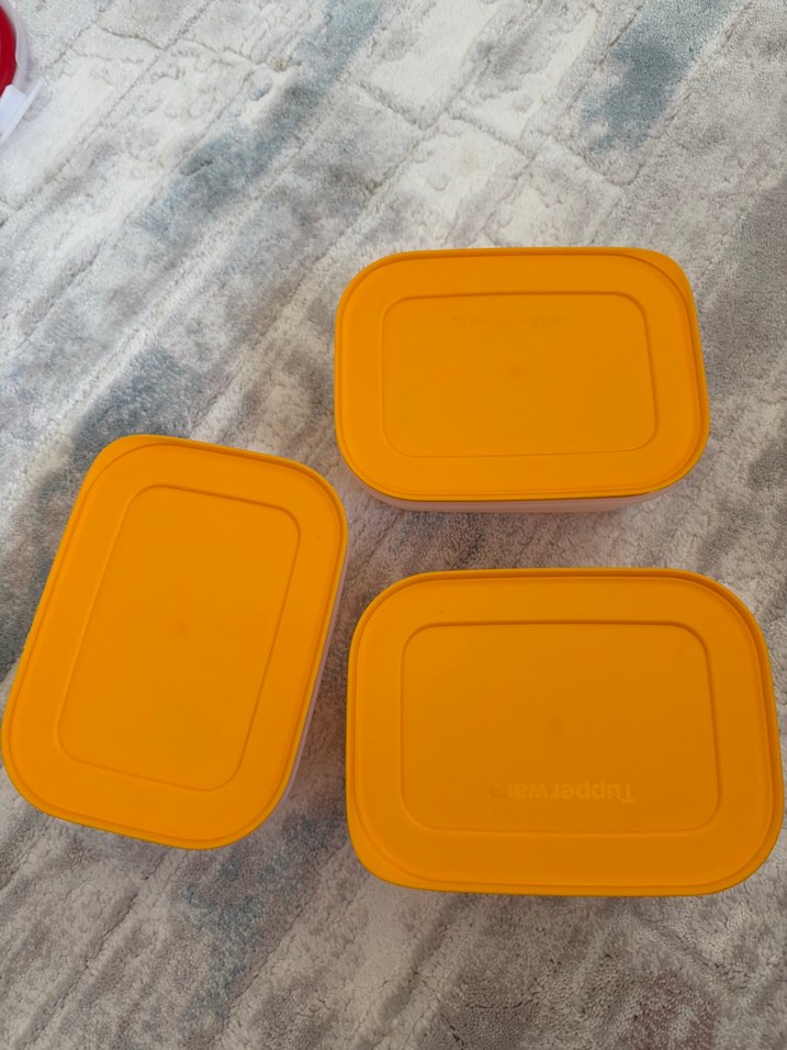 Tupperware Alaska 450 ml 2'li Saklama Kabı - Görsel 2