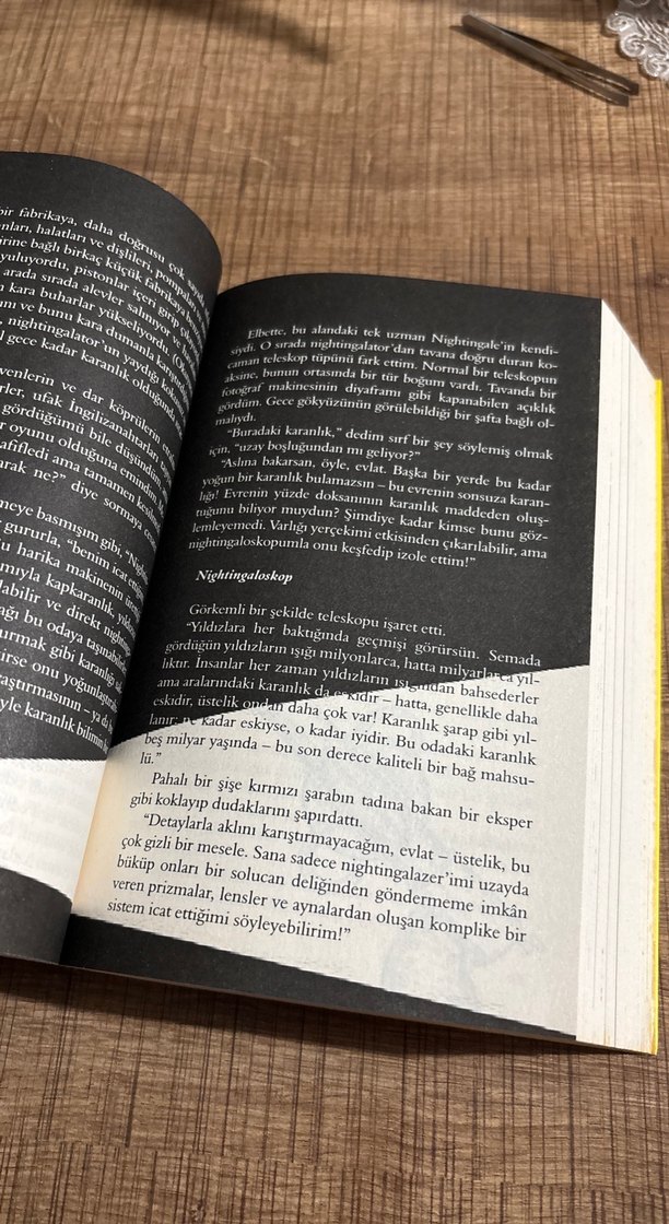 Kaptan Mavi Ayı'nın 13 ½ Hayatı - Walter Moers - Görsel 2