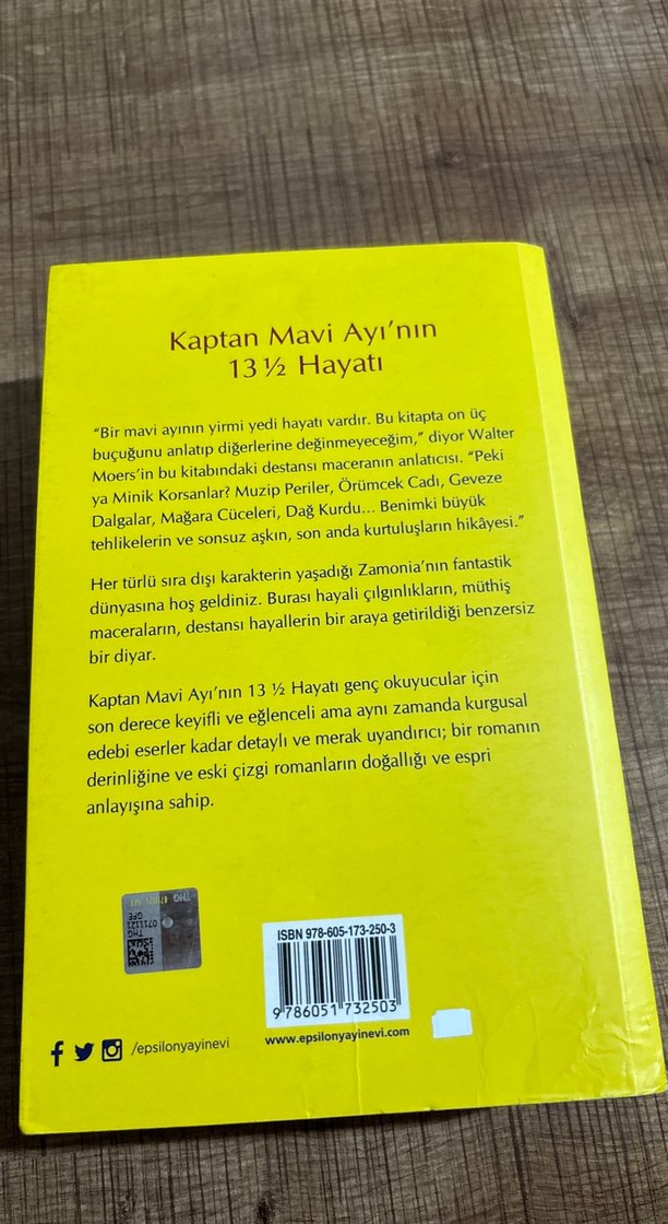 Kaptan Mavi Ayı'nın 13 ½ Hayatı - Walter Moers - Görsel 4