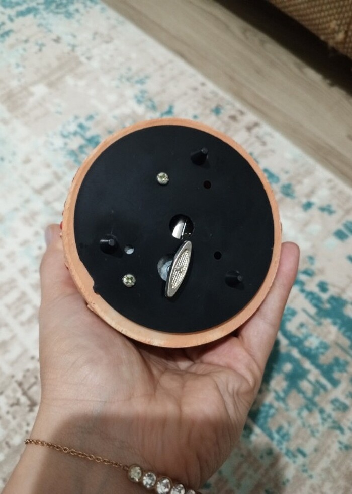 Sevgili kar küresi - Görsel 3