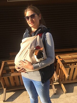 Kedi çantası