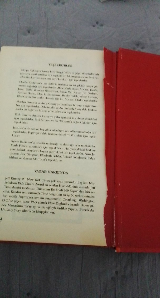 Saftirik Greg'in Günlüğü: Karışık İşler Bunlar! - Görsel 3