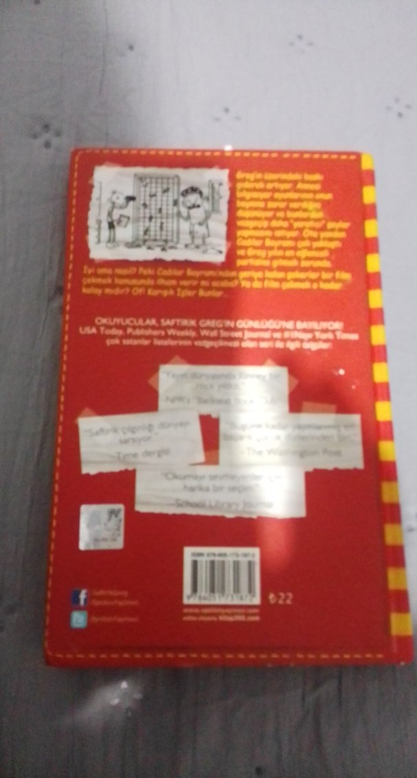 Saftirik Greg'in Günlüğü: Karışık İşler Bunlar! - Görsel 2