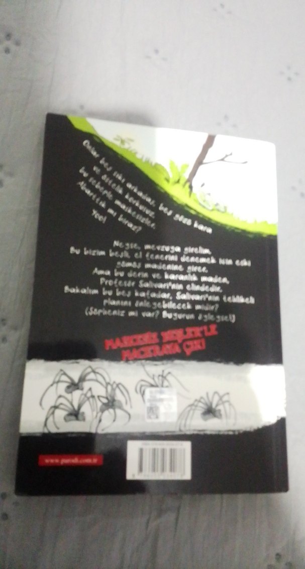 Maskesiz Beşler - Gümüş Örümcek Mağarasında - Görsel 2