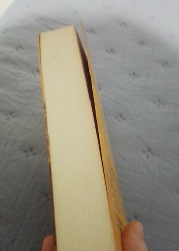 Nutuk - Atatürk'ün Tarihsel Konuşması - Görsel 5