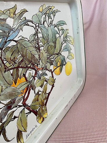  Beden çeşitli Renk Vintage emaye tepsi 30*45 #vintagetepsi