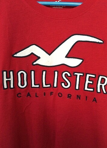 Hollister hollister tshirt 10 yas biraz tulerme var