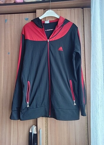 xl Beden çeşitli Renk 40 beden 