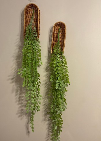 Duvar Asmalı Yeşil Dekoratif Bitki Seti - Görsel 2