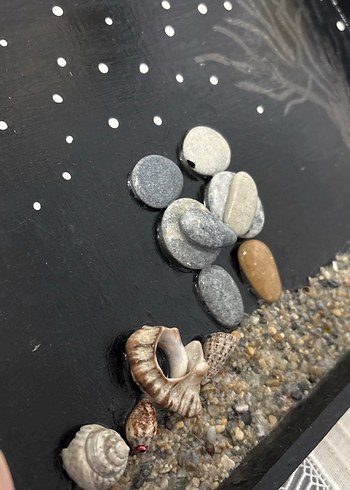 Taş ve Kabuk Detaylı Siyah Dekoratif Tablo - Görsel 3