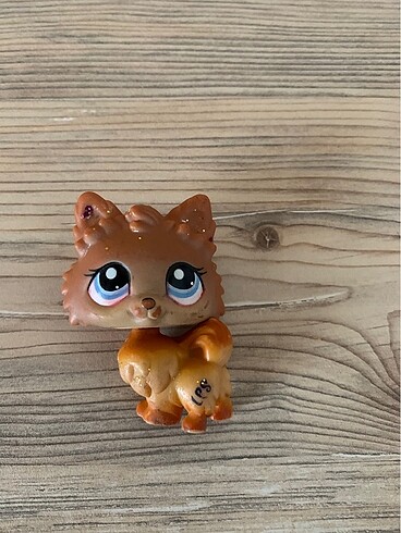 LPs miniş