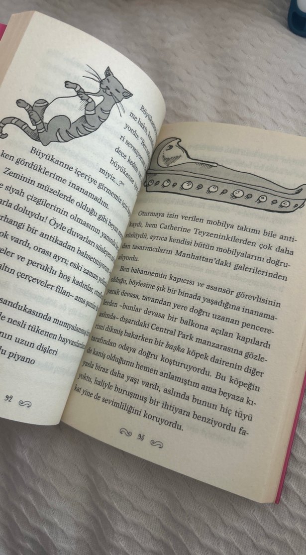 Küçük Prensesin Günlüğü - Meg Cabot - Görsel 3