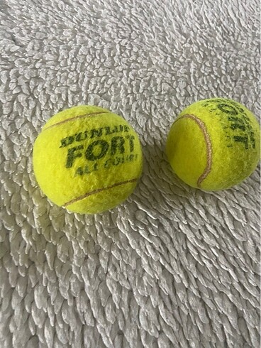 dunlop fort all court 2 adet tenis topu