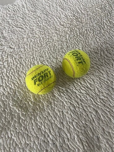 dunlop fort all court 2 adet tenis topu
