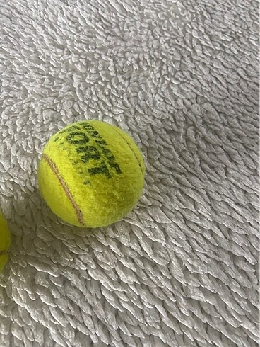 Beden dunlop fort all court 2 adet tenis topu