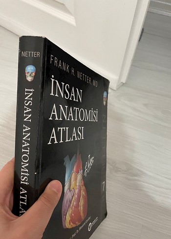 Beden Renk İnsan Anatomisi Atlası - Frank H. Netter