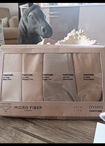 Oysho 4 adet Pantone görünmez tanga 