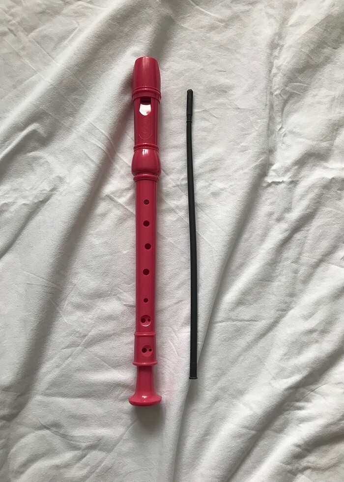 Müzik Aleti Flüt - Görsel 2