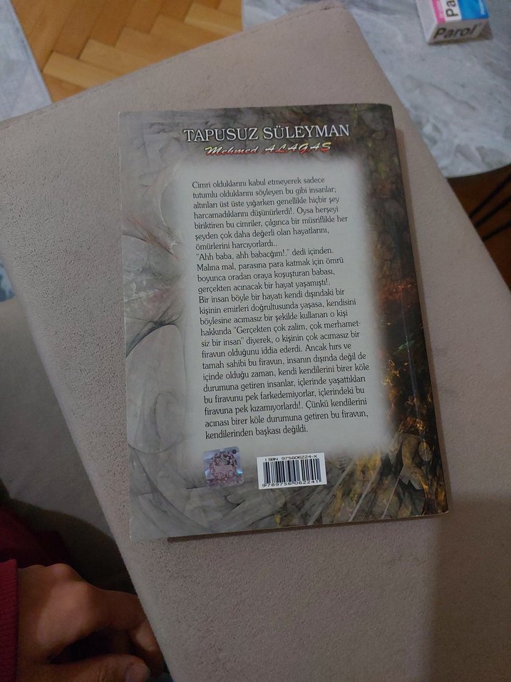 Tapusuz Süleyman - Mehmed Ali As - Görsel 2