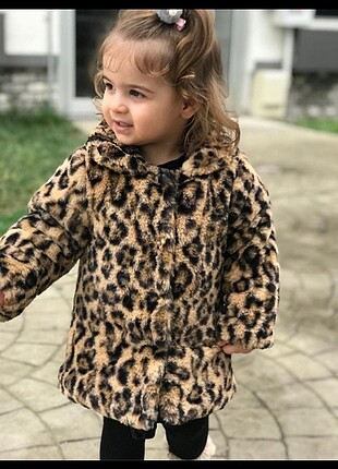 Mont leopar 