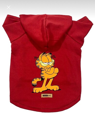 Kedi köpek kıyafeti