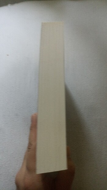 Beden Stephen King Billy Summers