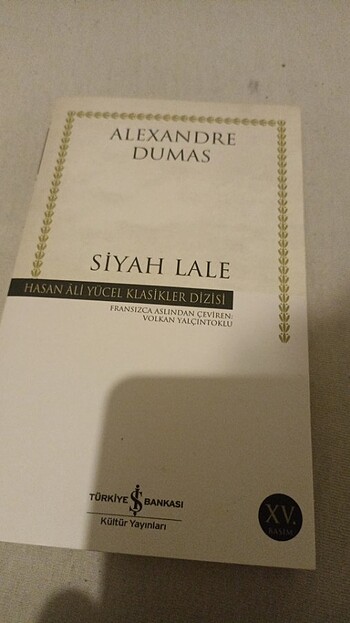 Siyah Lale 