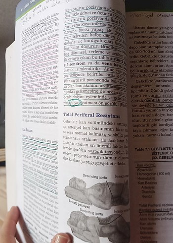 doğum ve kadın sağlığı hemşireliği kitabı - Görsel 2