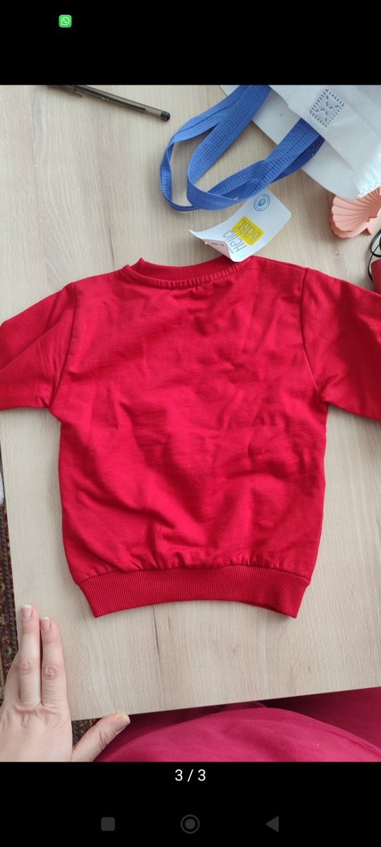 Kırmızı Baskılı Erkek Çocuk Sweatshirt - Görsel 3