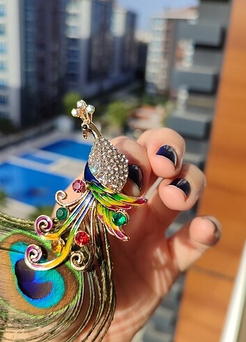  Beden çeşitli Renk Tavuskuşu broş