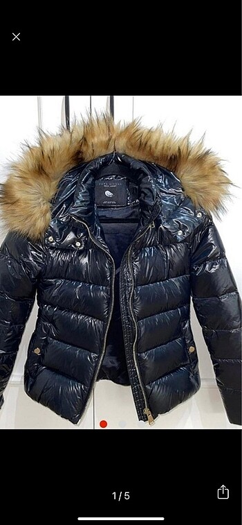 Parlak mont