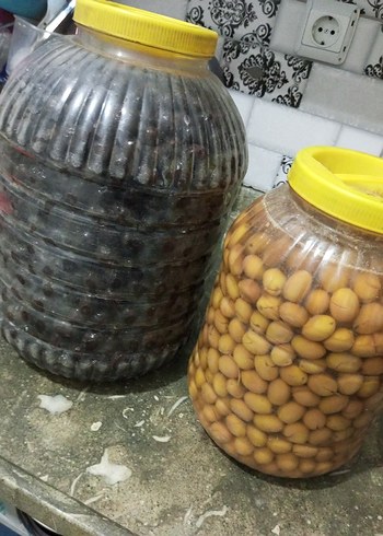 yemeklik siyah ve yeşil zeytin
