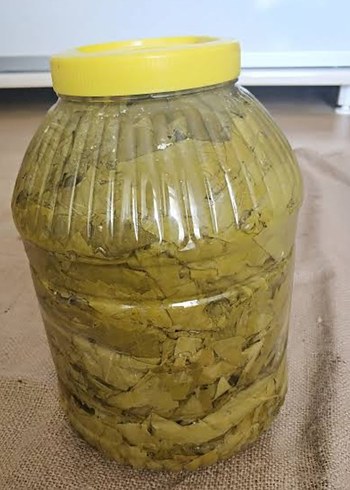 Beden Renk Salamura Asma Yaprağı