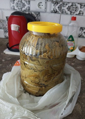 Beden Salamura Asma Yaprağı