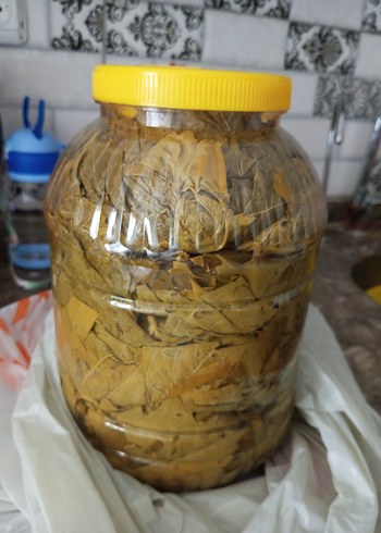 Adil Işık Salamura Asma Yaprağı