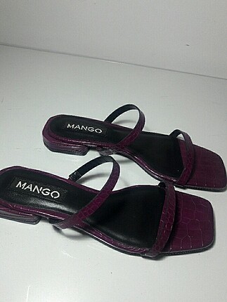 Mango mor terlik