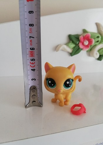 Beden Renk Lps Miniş