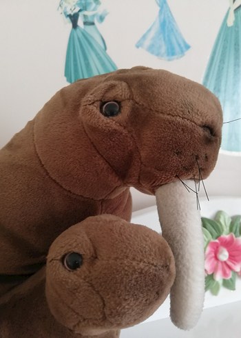 WWF MORS - Görsel 7