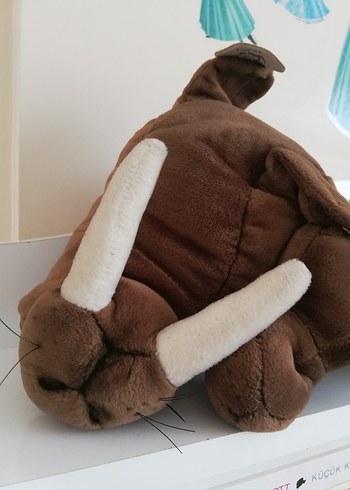 WWF MORS - Görsel 10