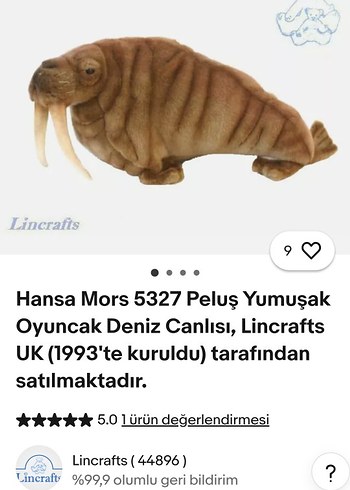 WWF MORS - Görsel 12