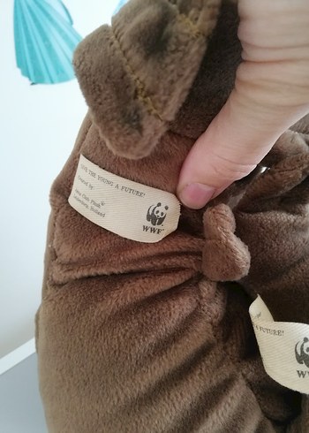 WWF MORS - Görsel 5