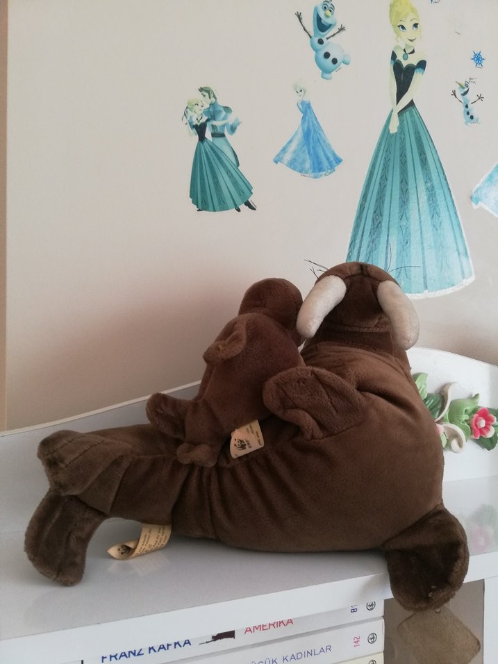 WWF MORS - Görsel 3