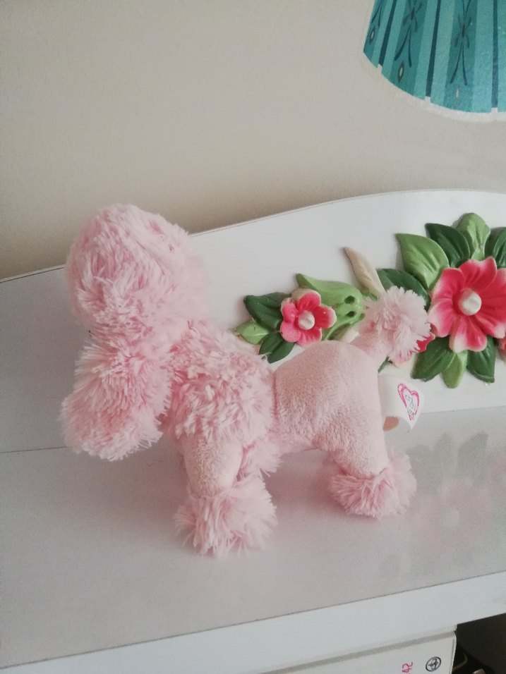 Simba chi chi love - Görsel 2