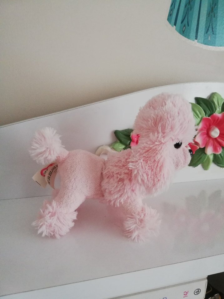 Simba chi chi love - Görsel 3