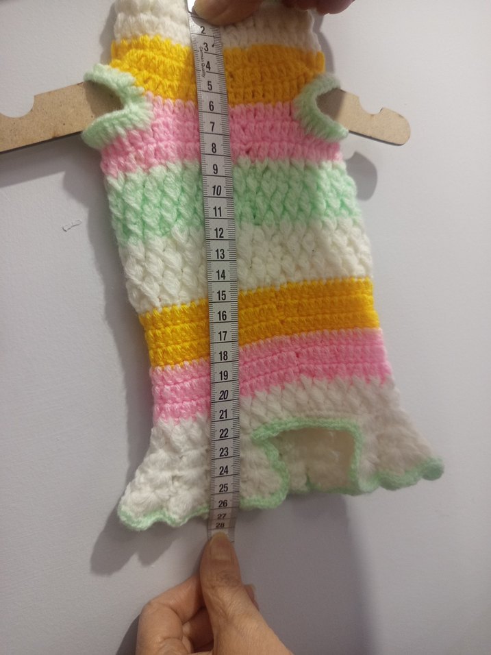 Bohem Tarzı Renkli Örgü Köpek Kıyafeti - Görsel 3